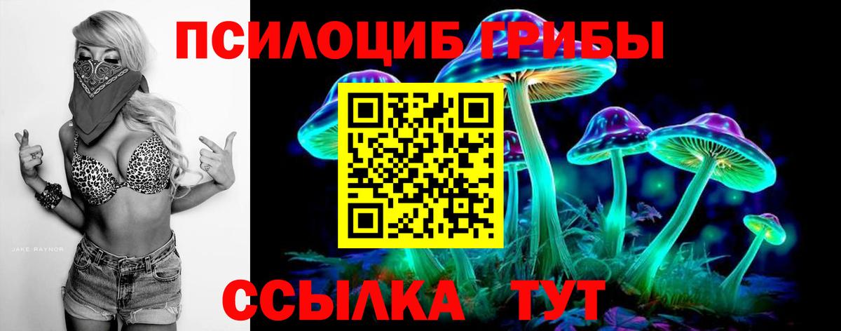 где продают   Вход с VPN  Набережные Челны  Псилоцибиновые грибы мицелий 